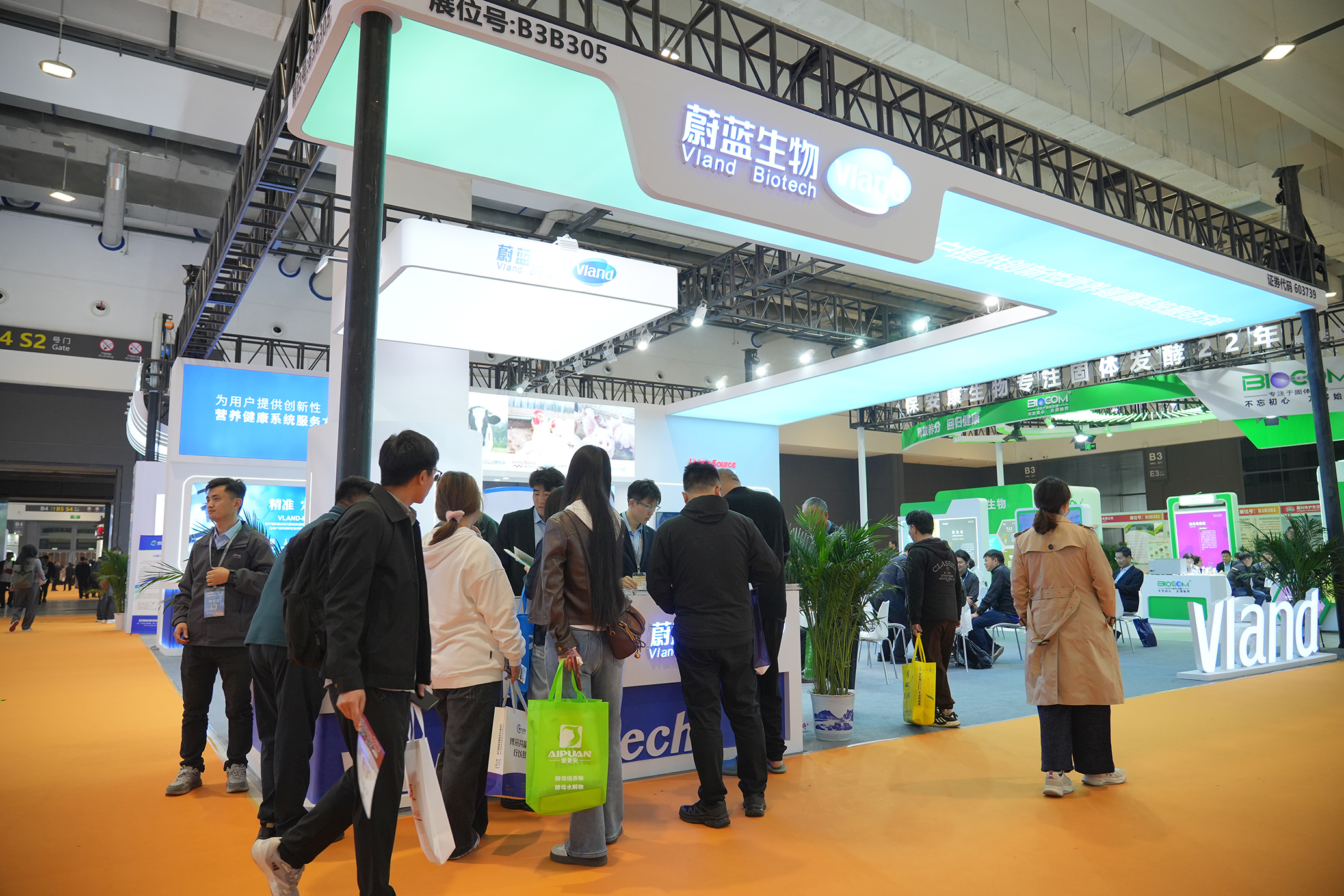 6805d61855248.jpg 6805d61855248.jpg